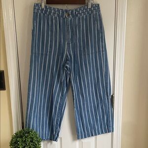 American Eagle Outfitters Blue and White Striped Women’s Preppy Crop Jeans